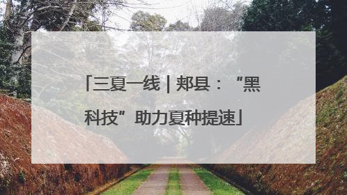 三夏一线｜郏县：“黑科技”助力夏种提速